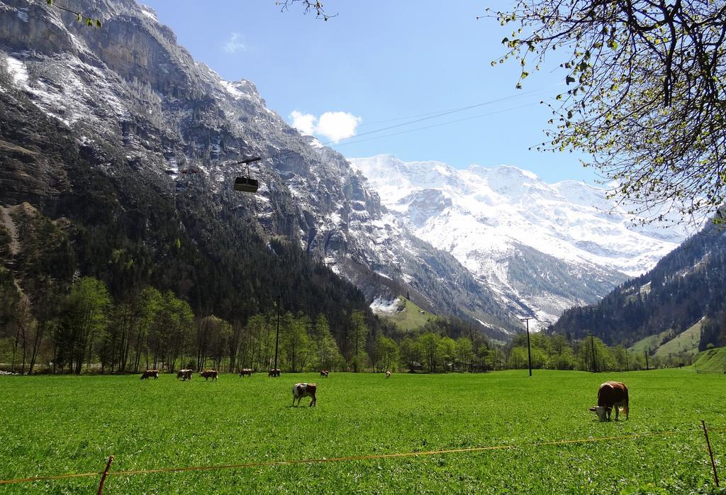 Base Cafe Apartment Lauterbrunnen Luaran gambar